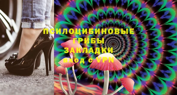 PSILOCYBIN Алексин